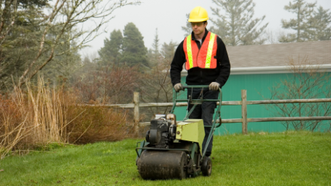 Low Maintenance Garden Tips for Busy Melbourne Homeowners