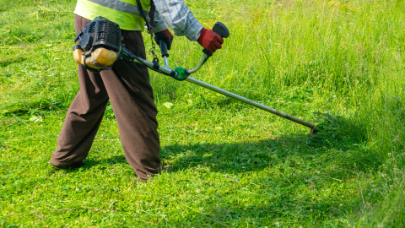Garden Maintenance Melbourne - example 4