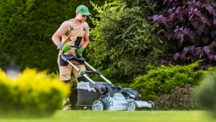 Garden Maintenance Melbourne - example 5